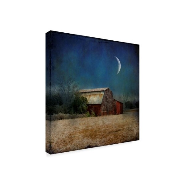 Barbara Simmons 'In The Land Of Cotton' Canvas Art,24x24